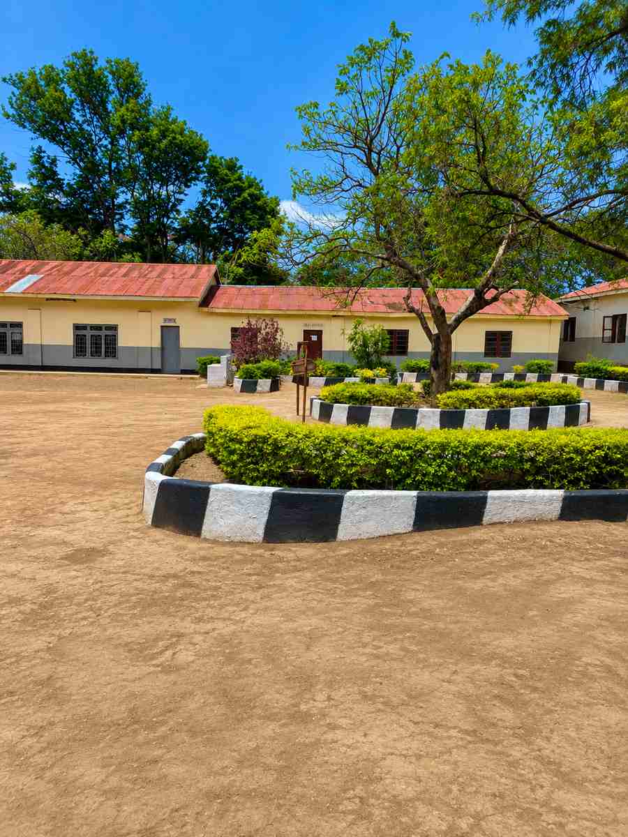 School Environment