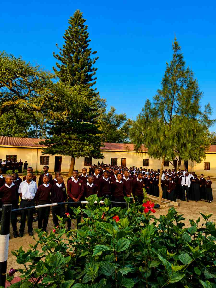 Students Activities